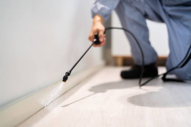 Licensed Termite Control service in San Ramon, CA - Nex Pest Control