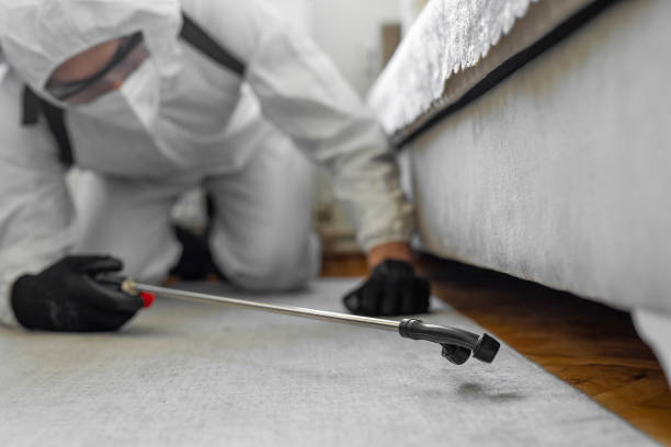 Professional Termite Control technician working in San Ramon, CA