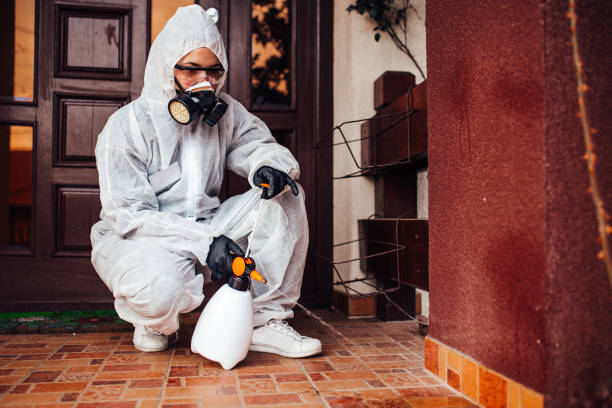 Reliable Termite Control contractor in San Ramon, CA by Nex Pest Control